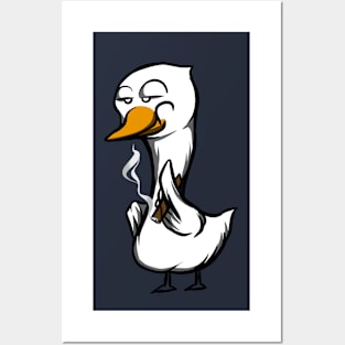 little duck Posters and Art